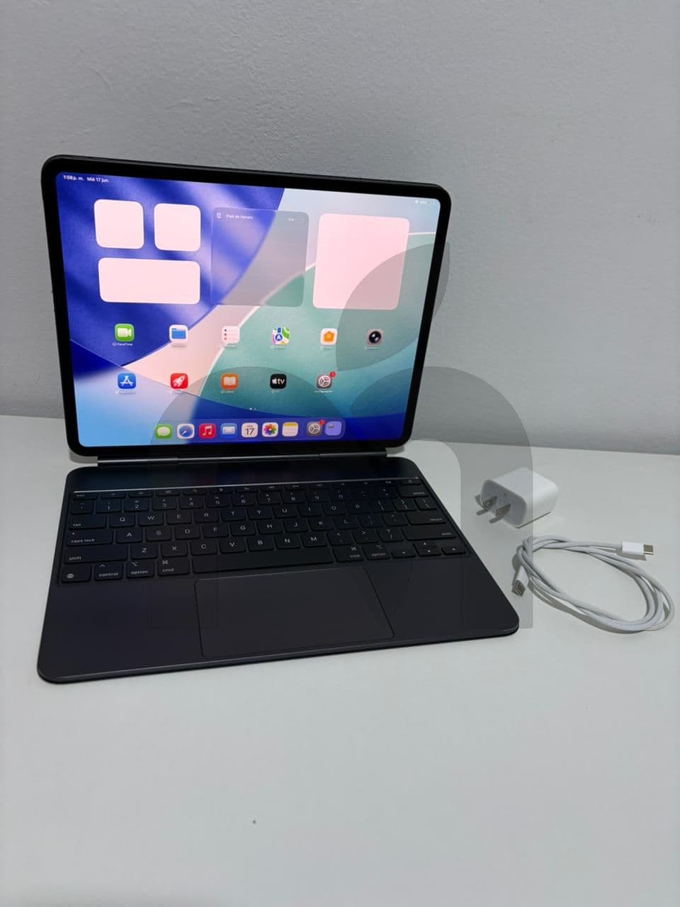 IPad Pro M5 13 WiFi + Celular